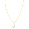LC Lauren Conrad Gold Tone Pink Pressed Flower Initial "J" Pendant Necklace -Fashion Women 6044908