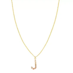 LC Lauren Conrad Gold Tone Pink Pressed Flower Initial "J" Pendant Necklace